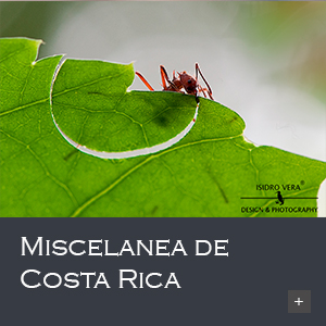 Miscelanea Costa Rica